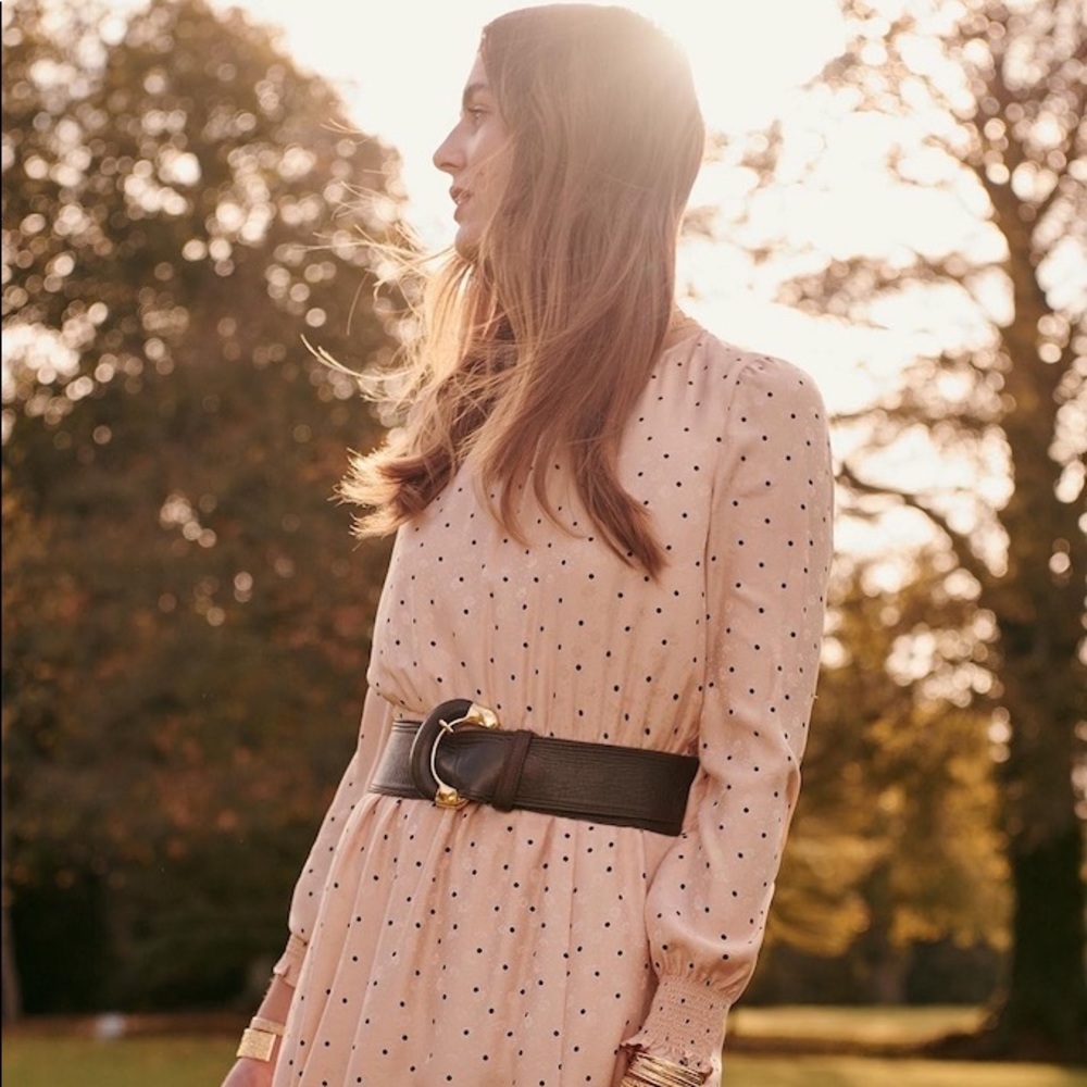 SOLD BNWT Sezane Justine Dress